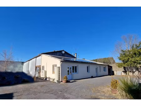 vente locaux professionnels 5870 m² à saint-jeures (43200)  300 000 €