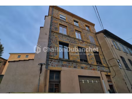 vente immeuble 150 m² à thizy (69240)  158 000 €