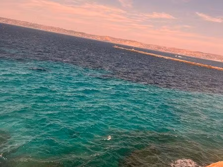 recherche appartement marseille