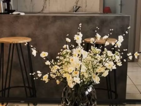 studio meublé avec coin chambre