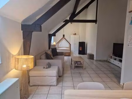 adorable appartement cosy et lumineux