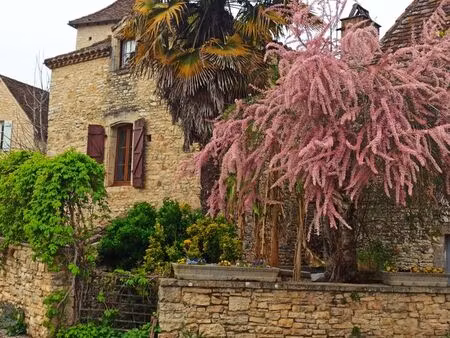 maison en pierre à restaurer