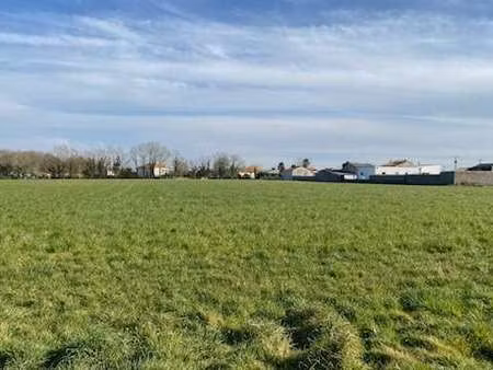 vente terrain à vieillevigne (44116) : à vendre / vieillevigne