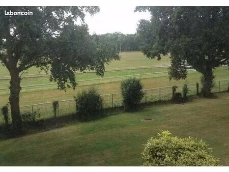 appartement 1 pièce 31 m²