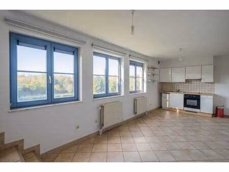 duplex 1 chambre avec vue sur le lac de lln