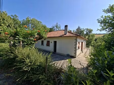 villa avec garage et jardin