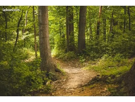 terrain agricole ou boisé