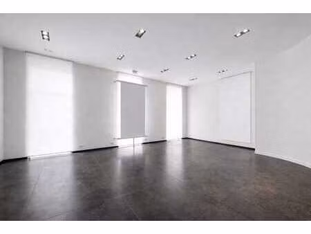 stéphanie - agréable commerce avec cour extérieure