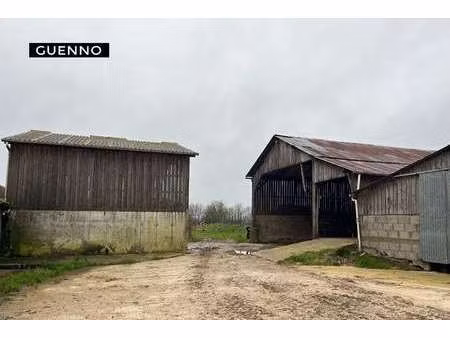 vente bureaux et commerces à romillé (35850) : à vendre / 1000m² romillé