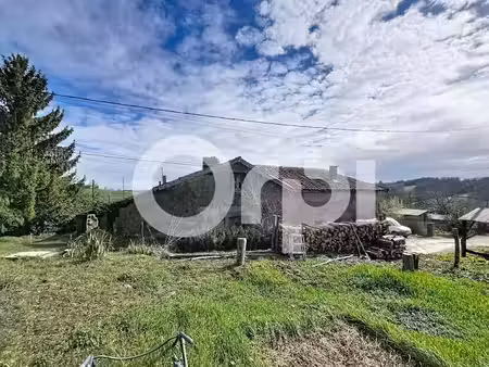 vente maison 2 pièces 105 m² à lodes (31800)  49 000 €