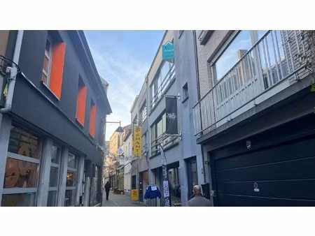 appartement te huur in aalst met 1 slaapkamer