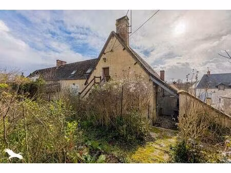 vente maison 4 pièces 100 m² chisseaux (37150)