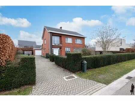 huis te koop in hoogstraten minderhout