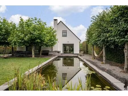 huis te koop in hoogstraten minderhout