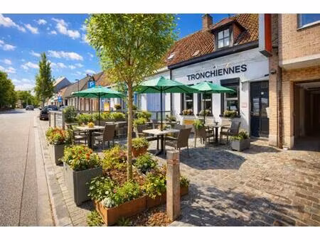 commerciële eigendom te koop in drongen