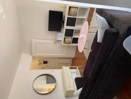 location appartement 1 pièce 27 m² à lyon 6 (69006)