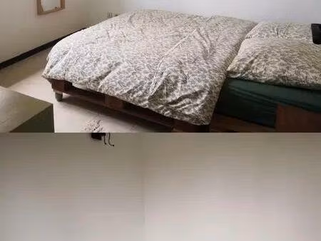 location appartement 2 pièces 31 m² à saint-étienne (42000)