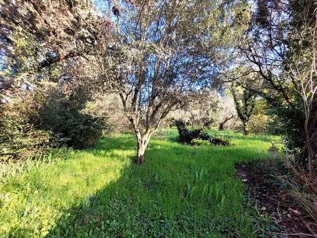 terrain hors lotissement de 1581 m² à proximité du centre - 5mn à pied