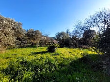très beau terrain situé en impasse à seulement 10 mn du centre-ville.