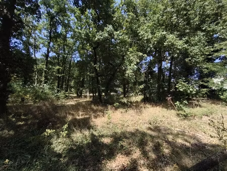 terrain - 769 m²