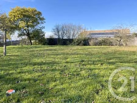 vente terrain à notre-dame-de-riez (85270) : à vendre / 496m² notre-dame-de-riez