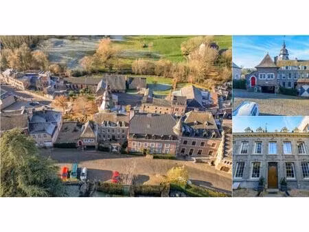 château à vendre à rue du général thys 16 dalhem (vbd89562)