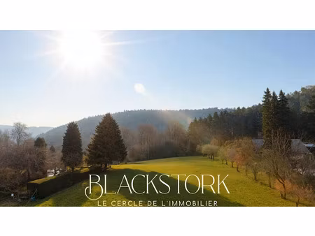 vente terrain 5000 m² à wangenbourg-engenthal (67710)  149 990 €