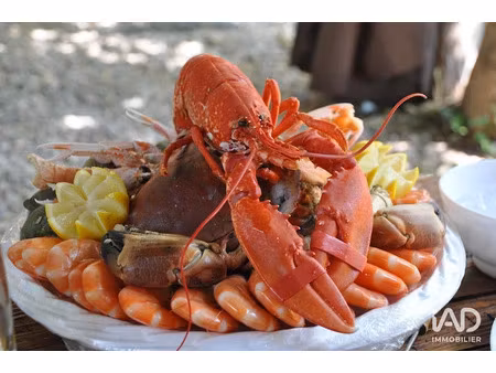 vente locaux professionnels 250 m² à saint-pierre-d'oléron (17310)  275 000 €