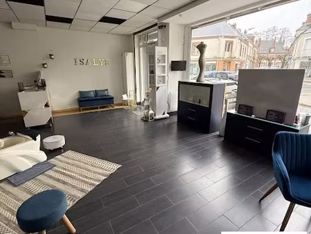 vente locaux professionnels 185 m² à sully-sur-loire (45600)  55 000 €