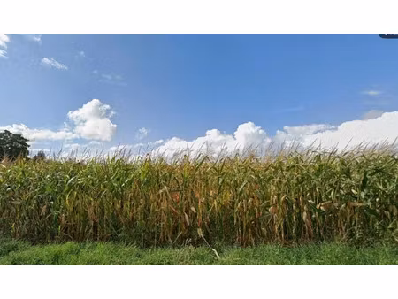 vente terrain 766 m² à avrainville (91630)  229 000 €