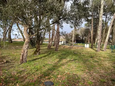vente terrain 768 m² à labenne (40530)  322 560 €