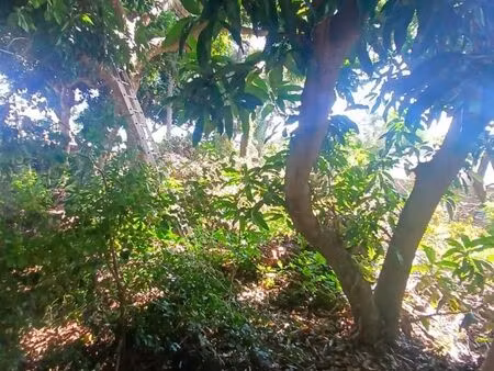 terrain saint gilles les hauts