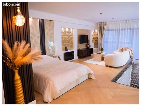 appartement d'exception 45 m² villeurbanne