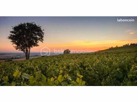 terrain agricole 16 310 m² rieux minervois
