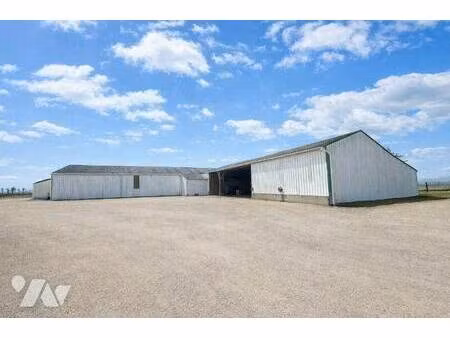 me nicolas le corguillé