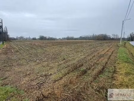 terrain à vendre à berlaar € 145.000 (ll8dq) - debaco immobiliën bvba | zimmo