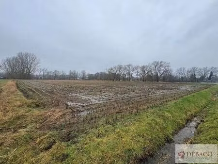 terrain à vendre à beerzel € 140.000 (ll8ds) - debaco | zimmo