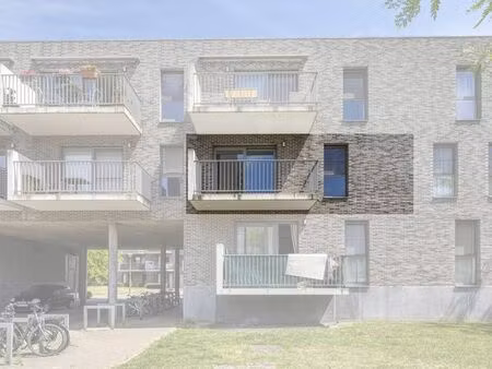 appartement à louer à hoboken € 875 (ll8uw) - dewaele - wilrijk | zimmo