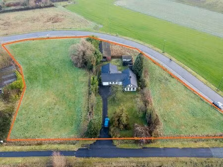 maison à vendre à aalter € 395.000 (ll8ha) - horse immo | zimmo