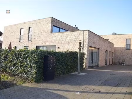 appartement à louer à willebroek € 900 (ll8ri) - walbers immo | zimmo