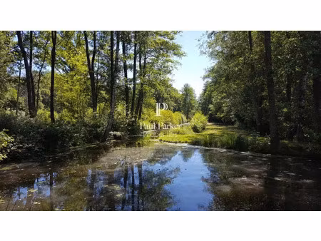 vente propriété 30 pièces 835 m² à argent-sur-sauldre (18410)  2 014 000 €