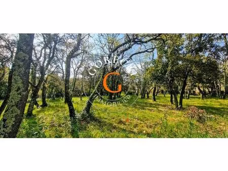 terrain constructible viabilisé à vendre