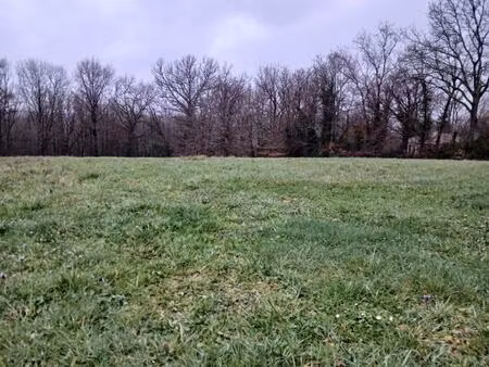 terrain à bâtir à ribérac (24600)