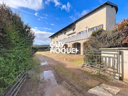 charmante maison rénovée  dépendances - 69840 juliénas