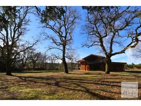 remarquable parcelle arborée de chênes de 5000m2 avec piscine