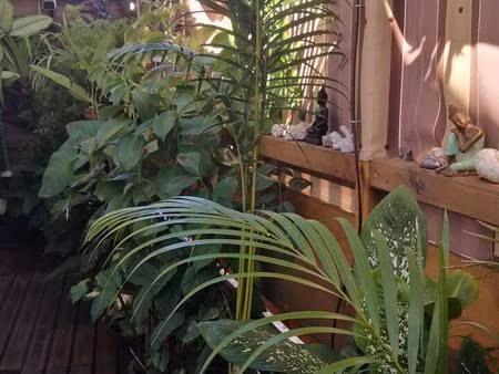 propriétaire particulier