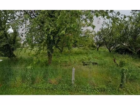 terrain constructible à vendre