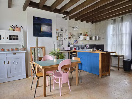 chissay-en-touraine maison ancienne rénovée plein sud avec g