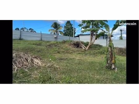 terrain de 750 m2 à maripasoula