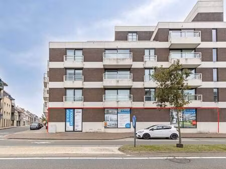 bien professionnel à vendre à de panne € 375.000 (ll9sb) - dewaele business - brugge | zim